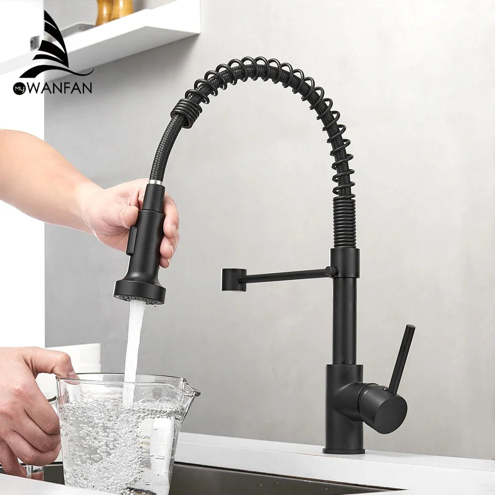 WANFAN Kitchen Faucet Stainless Steel Pull Down Sprayer