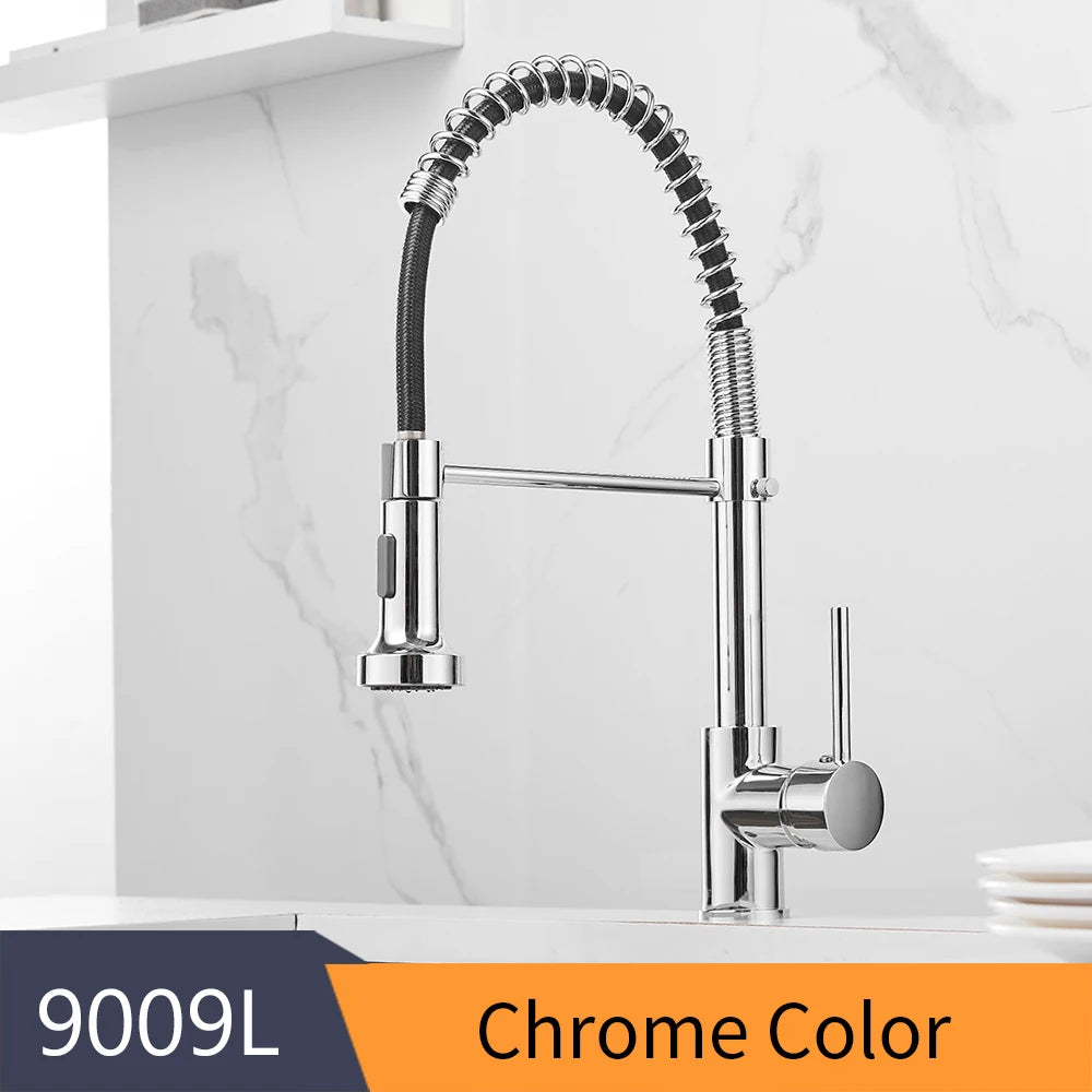 WANFAN Kitchen Faucet Stainless Steel Pull Down Sprayer