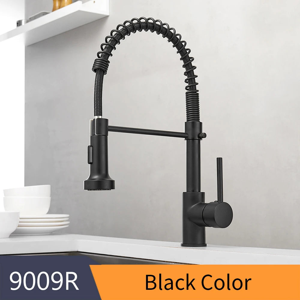 WANFAN Kitchen Faucet Stainless Steel Pull Down Sprayer