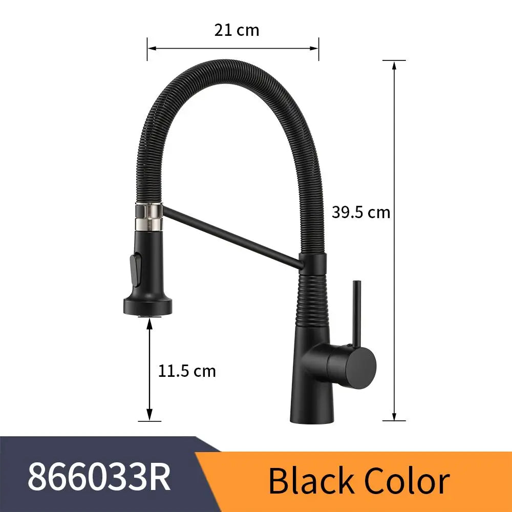 WANFAN Kitchen Faucet Stainless Steel Pull Down Sprayer